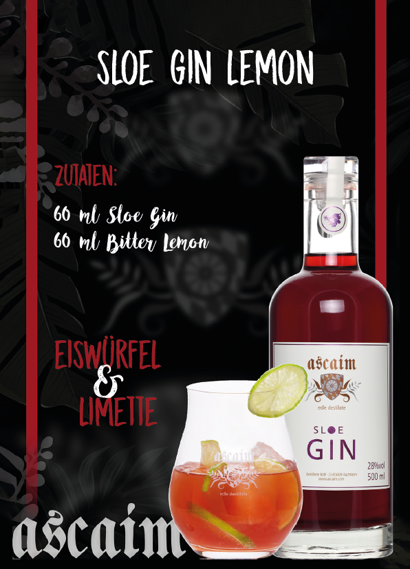 Gin Tonic Pairing Tipps für mehr Genuss